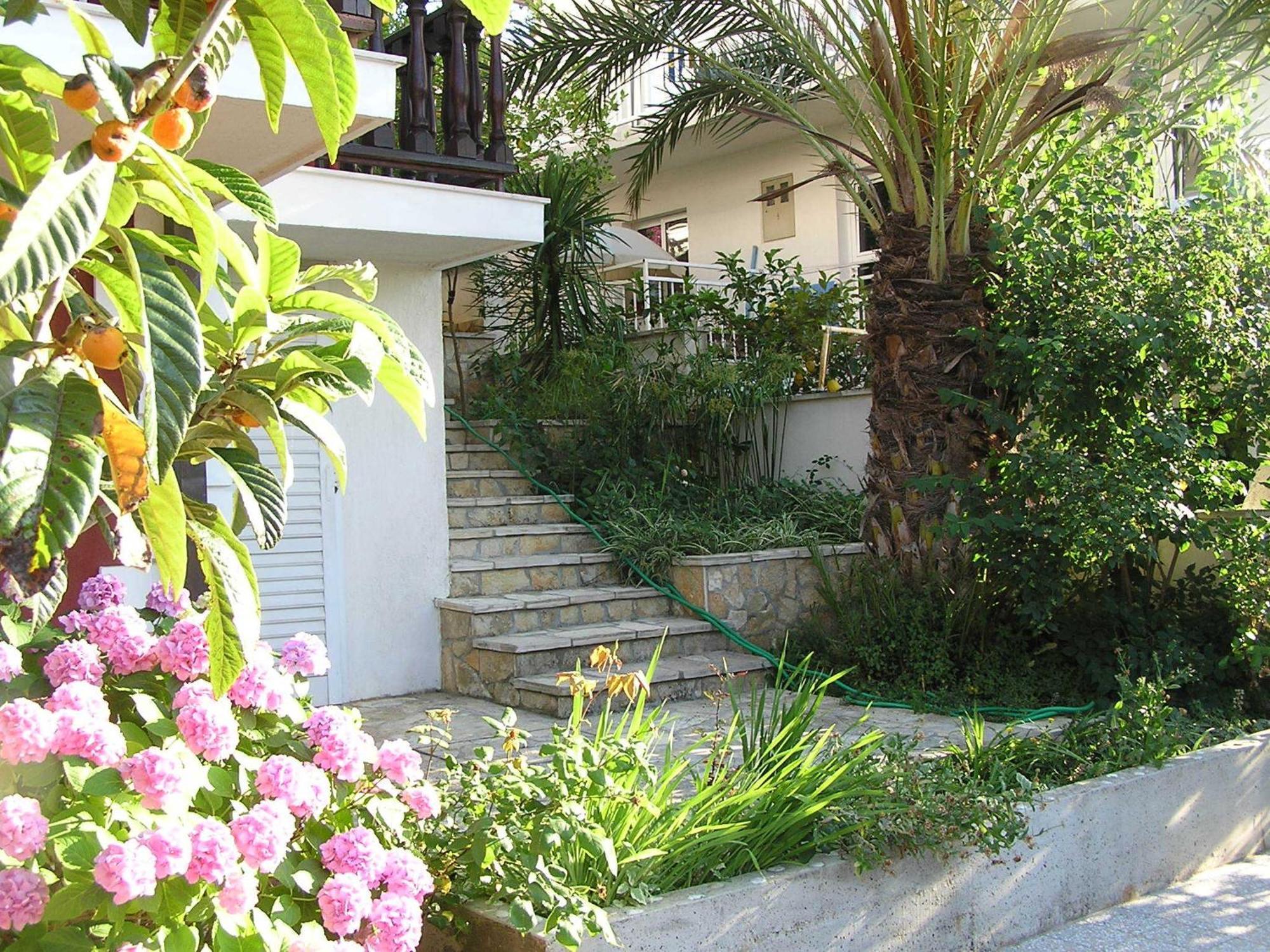 La Casa Di Elisa Hotel Đảo Hvar Ngoại thất bức ảnh